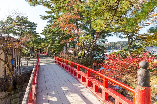 Matsushima Miyagi e il ponte rosso