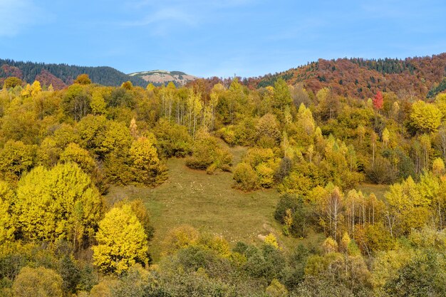 Mattina d'autunno i Carpazi calmano la scena pittoresca Ucraina Tranquillo viaggio stagionale natura e campagna concetto di bellezza scena