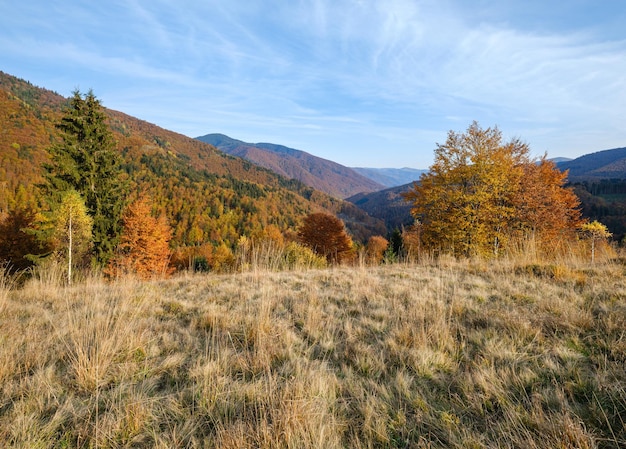 Mattina d'autunno i Carpazi calmano la scena pittoresca Ucraina Tranquillo viaggio stagionale natura e campagna concetto di bellezza scena