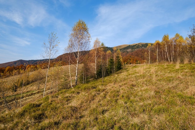 Mattina d'autunno i Carpazi calmano la scena pittoresca Ucraina Tranquillo viaggio stagionale natura e campagna concetto di bellezza scena