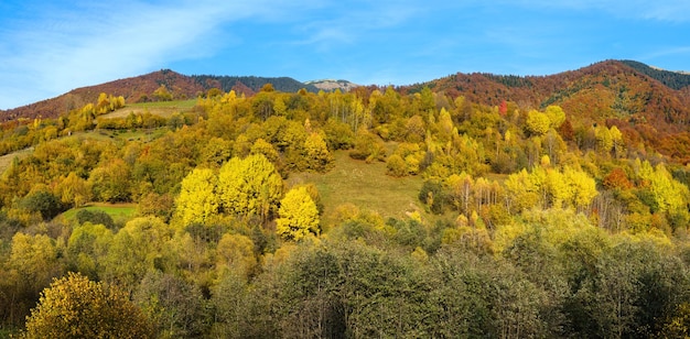 Mattina d'autunno I Carpazi calmano la scena pittoresca Ucraina Tranquillo viaggio stagionale nella natura e nella scena del concetto di bellezza della campagna