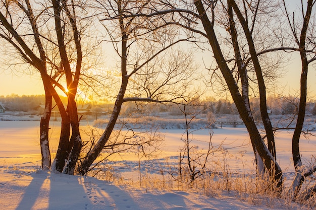 Mattina d'inverno con neve e gelo