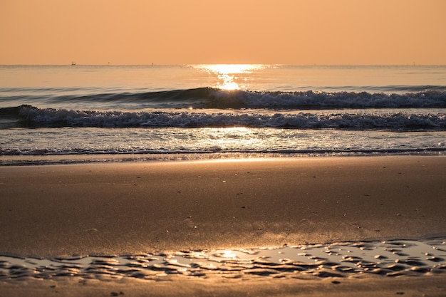 Mattina di alba della spiaggia dorata