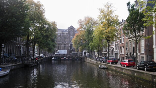 Mattina di Amsterdam nel centro della città - strada con biciclette e automobili sul canale, autunno, Paesi Bassi, grandangolo