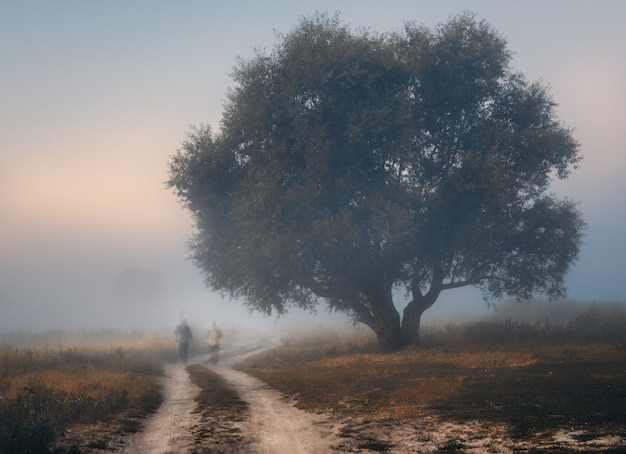 Mattina di partire d'estate