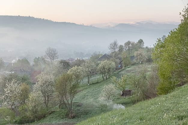 Mattina di primavera in un paesino di montagna. Mattinata nebbiosa e alberi in fiore