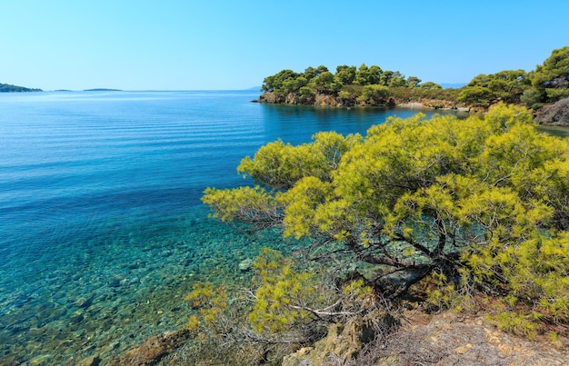 Mattina estate costa rocciosa del Mar Egeo paesaggio con alberi di pino sulla riva, Sithonia (vicino a Ag. Kiriaki), Halkidiki, Grecia.