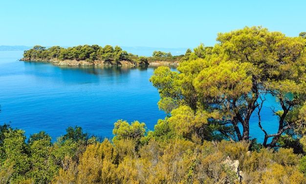 Mattina estate Mar Egeo con alberi di pino sulla riva e piccole spiagge Sithonia vicino a Ag Kiriaki Halkidiki Grecia