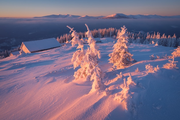 Mattina gelida in montagna. Alba colorata. Paesaggio invernale. Vista di Natale