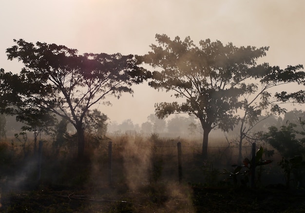 mattina in campagna