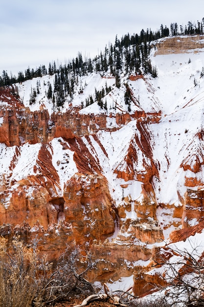 Mattina Invernale E Hoodoo Rocks Nel Bryce Canyon, Stati Uniti D'America