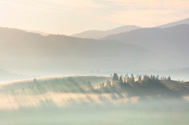 Mattina Misty paesaggio nebbioso con foresta in montagna