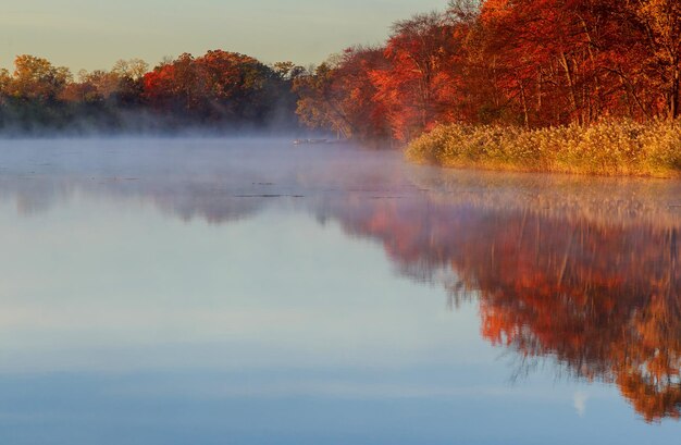 Mattina nebbiosa d'autunno Alba sul fiume tranquillo nebbioso