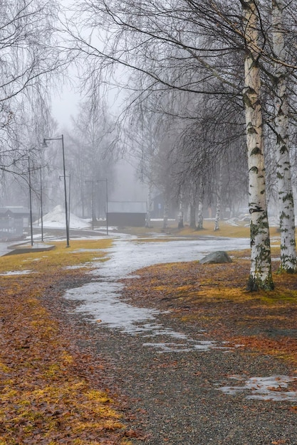 Mattina nebbiosa nel comune di Ludvika, in Svezia