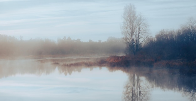 Mattina nebbiosa sopra la vista pittoresca del fiume in natura