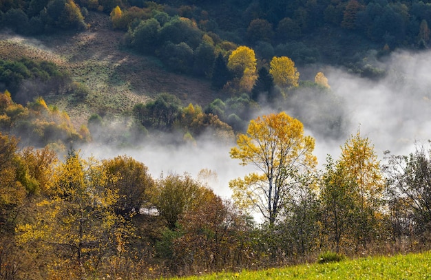 Mattina nuvole nebbiose in autunno campagna di montagna Ucraina Carpazi Transcarpazia