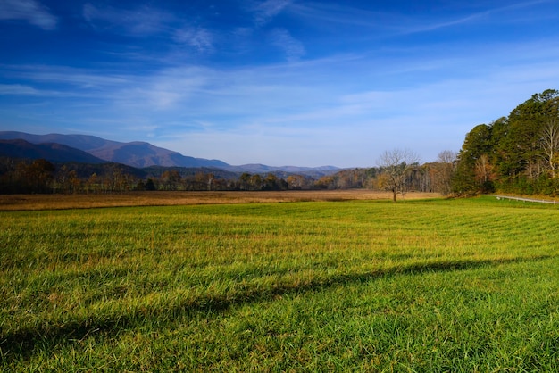 Mattina presto a Cades Cove