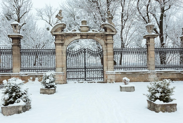 Mattina presto inverno Cortile della Cattedrale di San Giorgio Lviv Ucraina