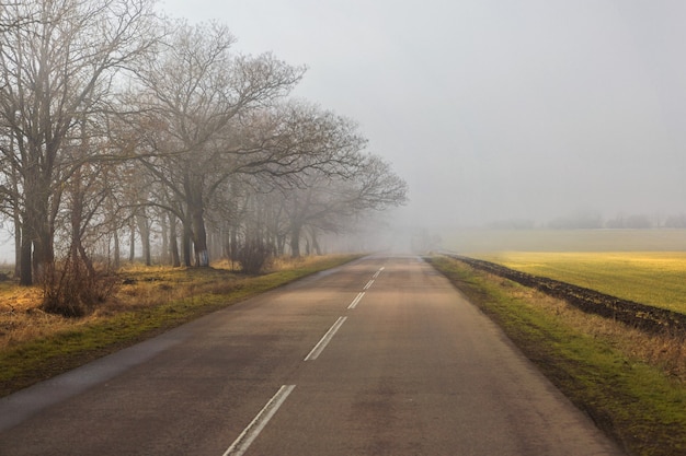 Mattina strada vuota nella nebbia