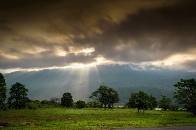 Mattina stupenda luce del sole