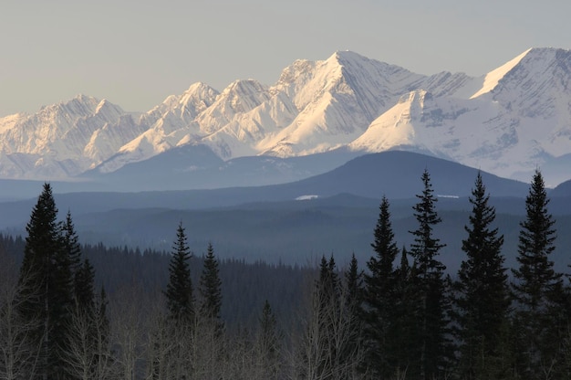 Mattina su una catena montuosa vicino ai laghi Kananaskis nel parco provinciale Peter Lougheed Alberta