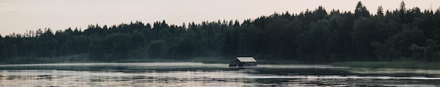 Mattina sul fiume Canne di prima mattina nebbia nebbia e superficie dell'acqua sul fiume Bellissimo paesaggio naturale Viaggio estivo