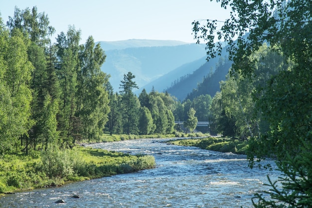 Mattina sulle rive boscose di un fiume di montagna Viaggi e vacanze estivex9