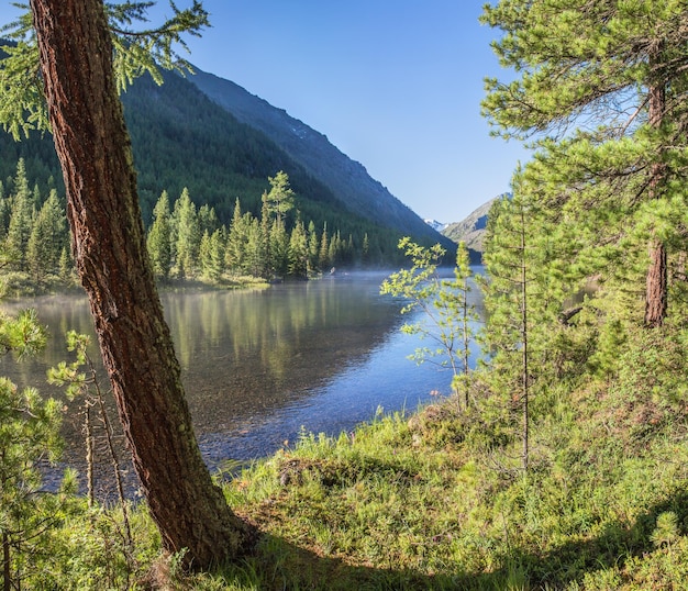 Mattinata di sole su un viaggio estivo calmo del fiume della foresta