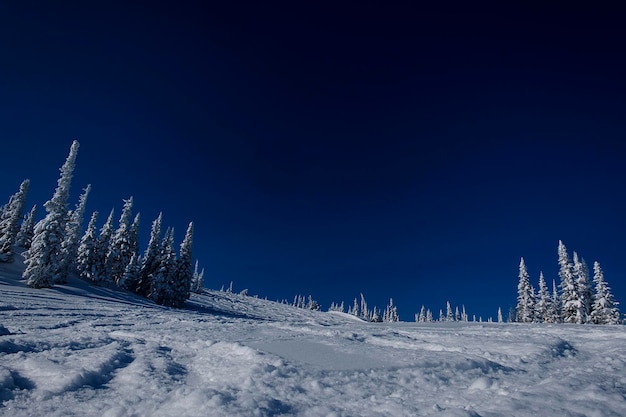 Mattinata invernale soleggiata tra le montagne di sheregesh sulla pista da scix9