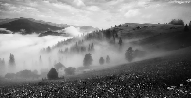 Mattinata nebbiosa estate paesaggio montano con nebbia e prato. Case rurali nella nebbia e nel cielo nuvoloso drammatico. Carpazi, Ucraina