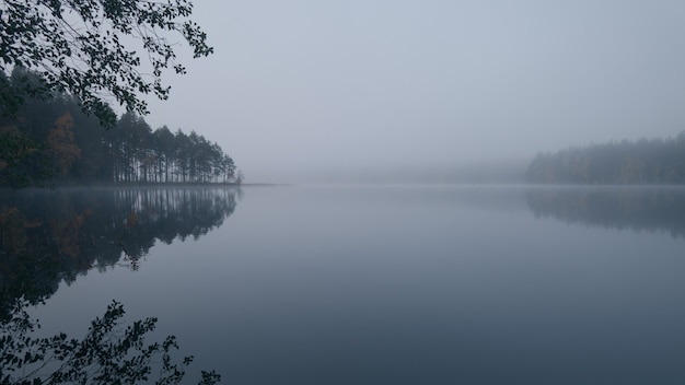 Mattinata nebbiosa. Lago pittoresco della foresta.