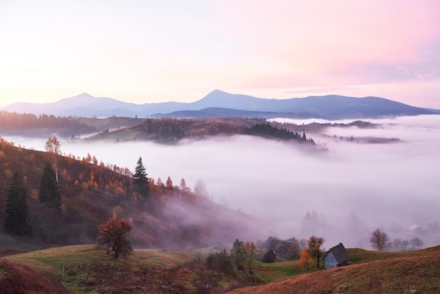 Mattinata nebbiosa nei Carpazi ucraini nella stagione autunnale.