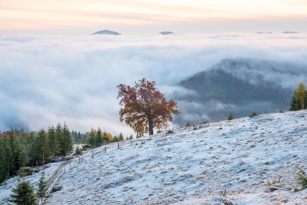 Mattinata nebbiosa sopra le montagne Bella alba con la prima neve nel paesaggio autunnale