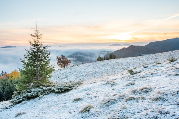 Mattinata nebbiosa sopra le montagne Bella alba con la prima neve nel paesaggio autunnale