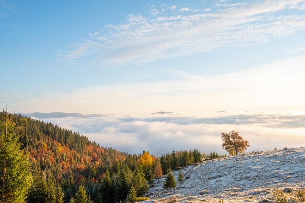 Mattinata nebbiosa sopra le montagne Bella alba con la prima neve nel paesaggio autunnale