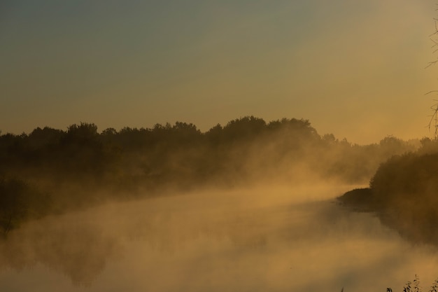 Mattinata nebbiosa su un fiume europeo con erba verde fresca al sole. I raggi del sole attraverso l'albero.