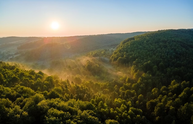 Mattinata nebbiosa vibrante su alberi forestali scuri alla luminosa alba estiva Scenario incredibile di boschi selvaggi all'alba