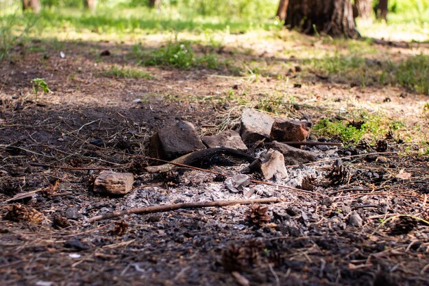 Mattoni e falò nella foresta