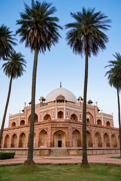 Mausoleo di Humayun Delhi India