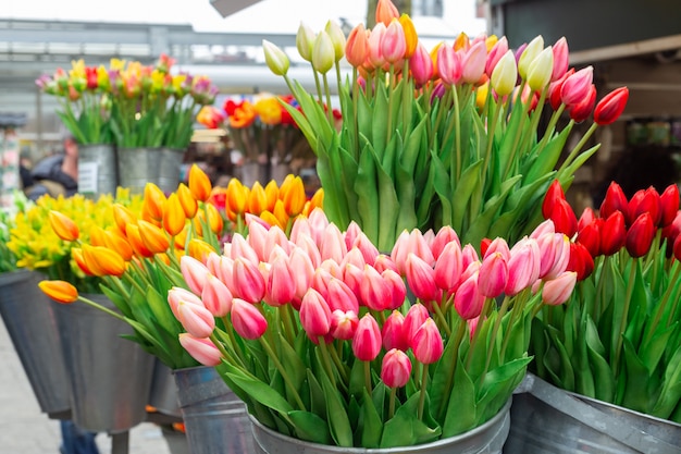 Mazzi di bei fiori del tulipano da vendere in un mercato dei fiori