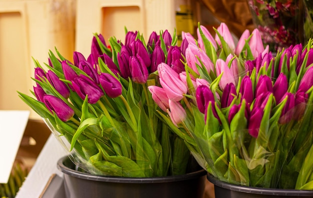 Mazzi di fiori di tulipano rosa primaverile nel negozio di fiori