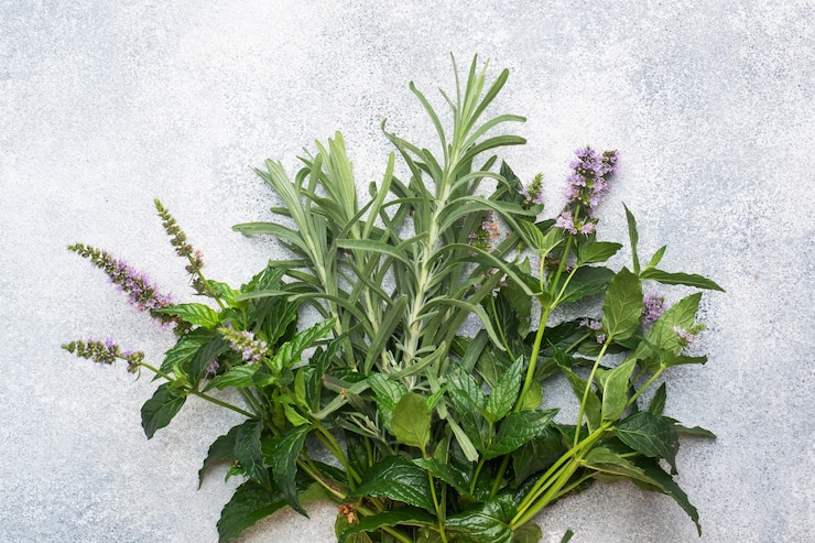 Foto mazzi di rametti freschi di menta e rosmarino