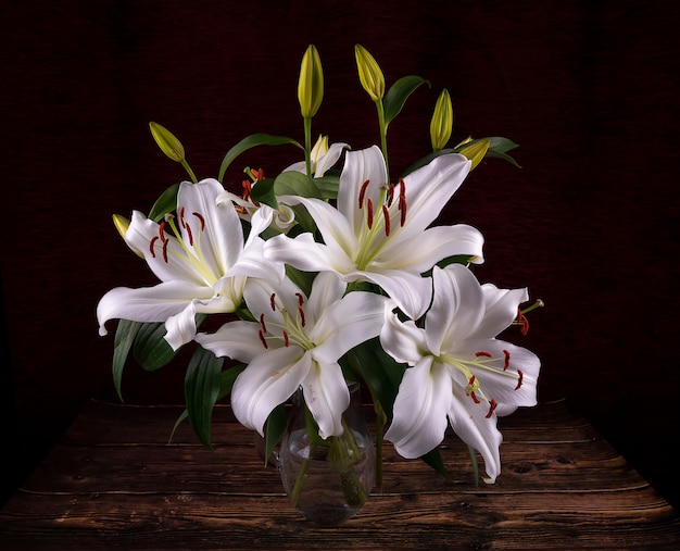 Mazzo con i germogli di fiore di fioritura del giglio bianco in vaso su fondo scuro