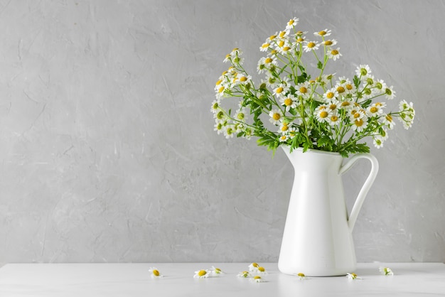 Mazzo dei fiori della camomilla o della camomilla su bianco con lo spazio della copia