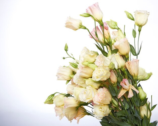 Mazzo dei fiori di eustoma su fondo bianco. Copia spazio