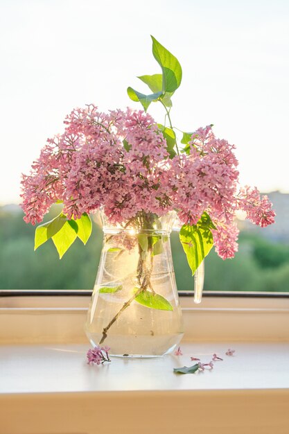 Mazzo dei fiori lilla in una brocca di vaso sul davanzale