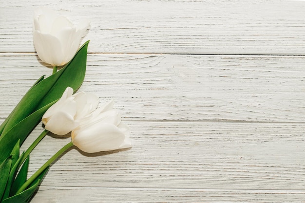 Mazzo dei tulipani bianchi su uno spazio bianco di legno del fondo per testo