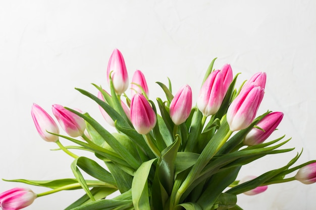 Mazzo dei tulipani rosa su una parete di pietra bianca. concetto di vacanza e l'inizio della primavera.