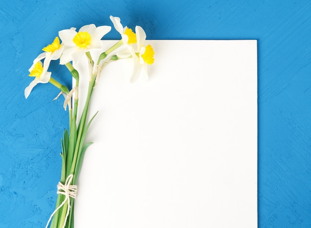 Mazzo del Libro Bianco in bianco dei narcisi dei fiori freschi nel fondo concreto strutturato blu