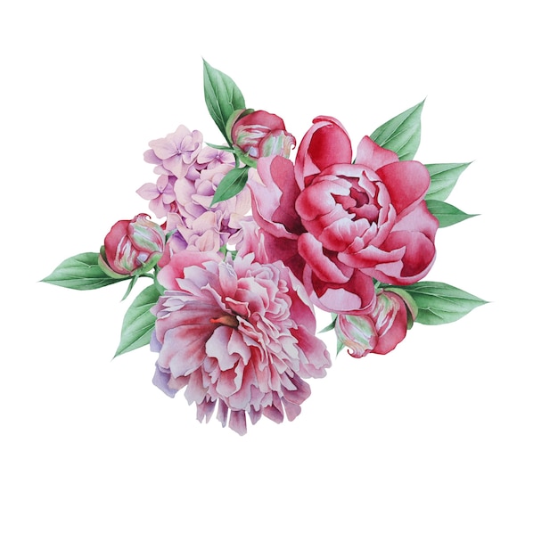 Mazzo dell'acquerello con fiori. Illustrazione. Peonia. Disegnato a mano.